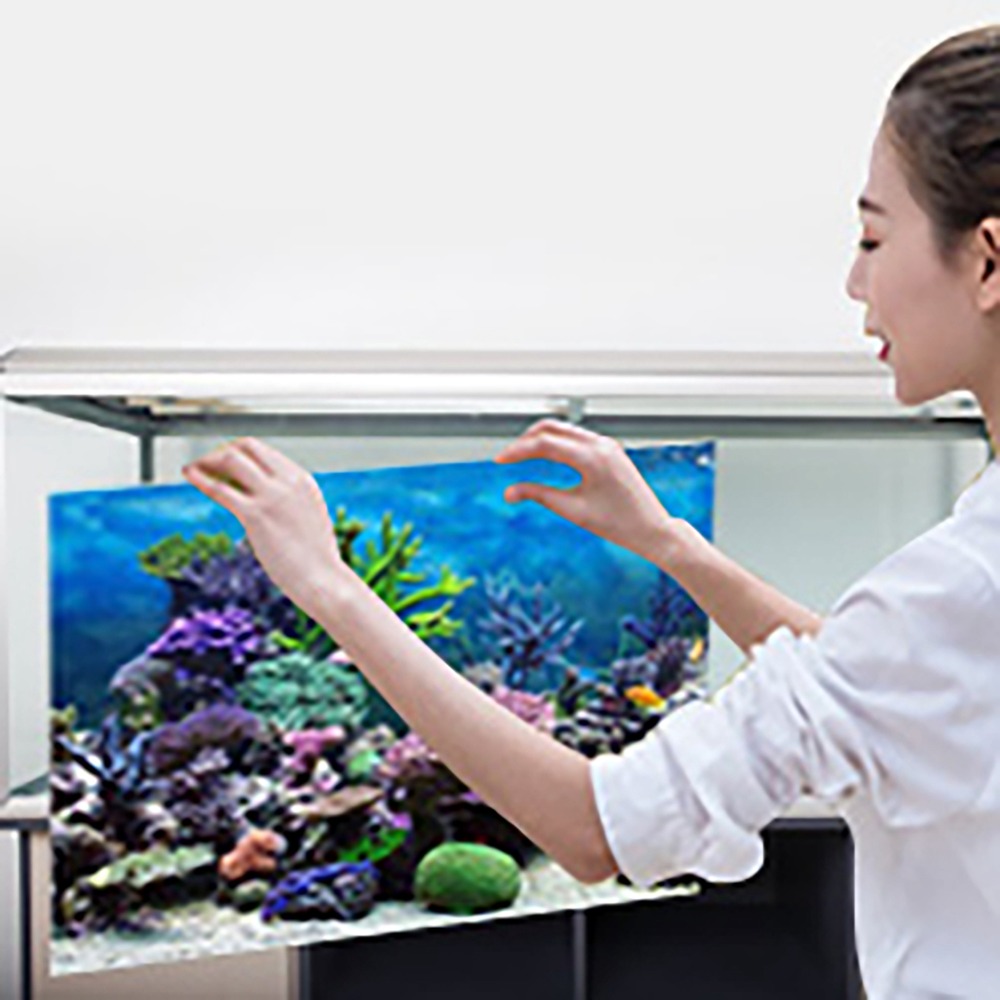 Aquarium Fish Poster - PVC Aquarium Background Poster Adhesive Thicken