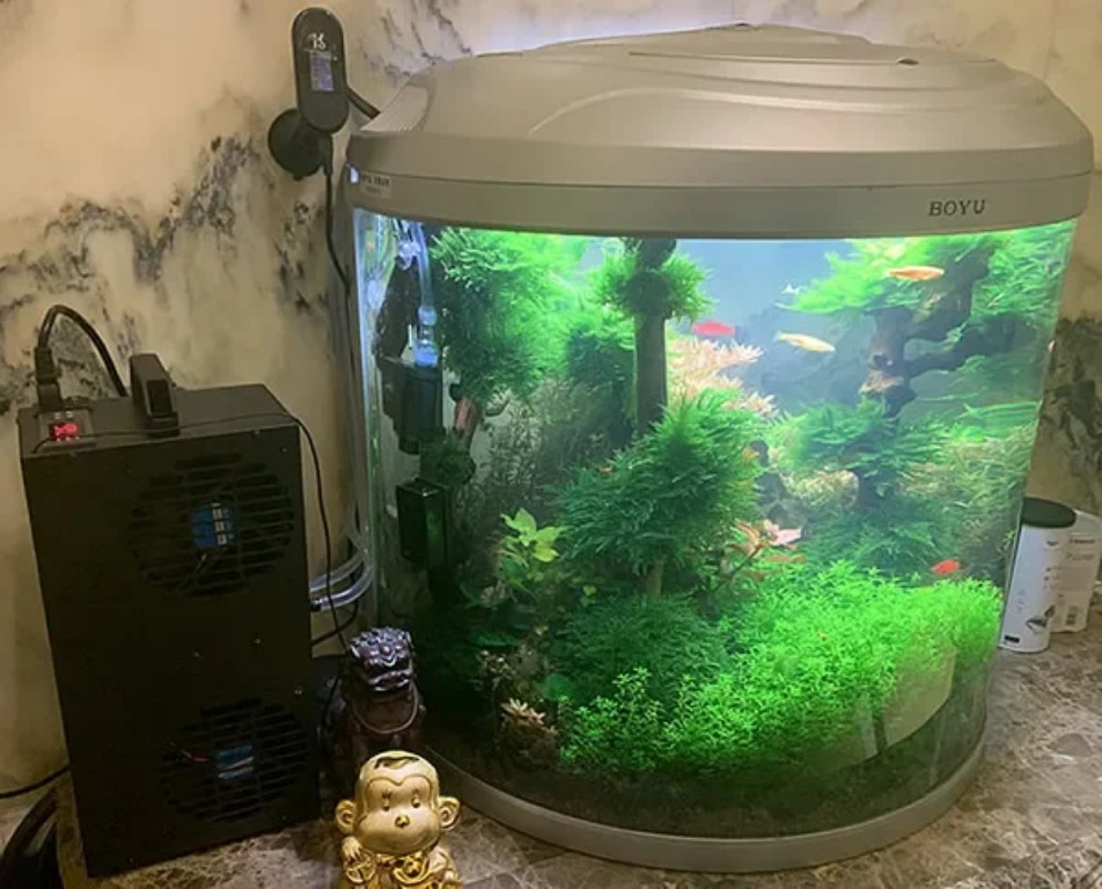 Constant Temperature Adjustabl - огляд і ціна Aquarium Fish Small