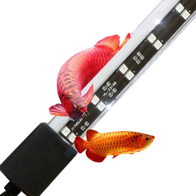 72cm 20 Watt Red Arowana Aquar - огляд і ціна Aquarium Fish Keeping