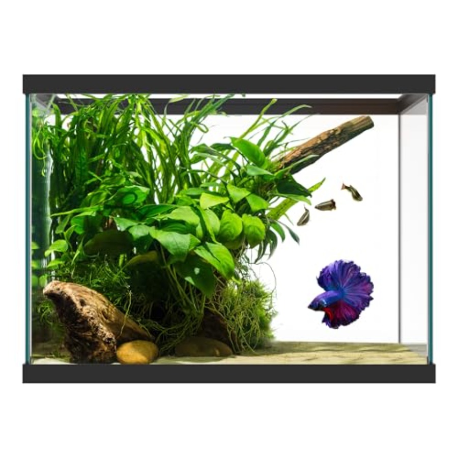 20 Gallon Glass Aquarium - 24  - огляд і ціна Fish Toy In Aquarium