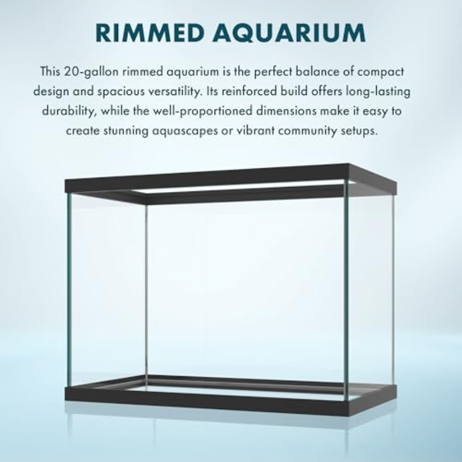 20 Gallon Glass Aquarium - 24  - огляд і ціна Fish Toy In Aquarium