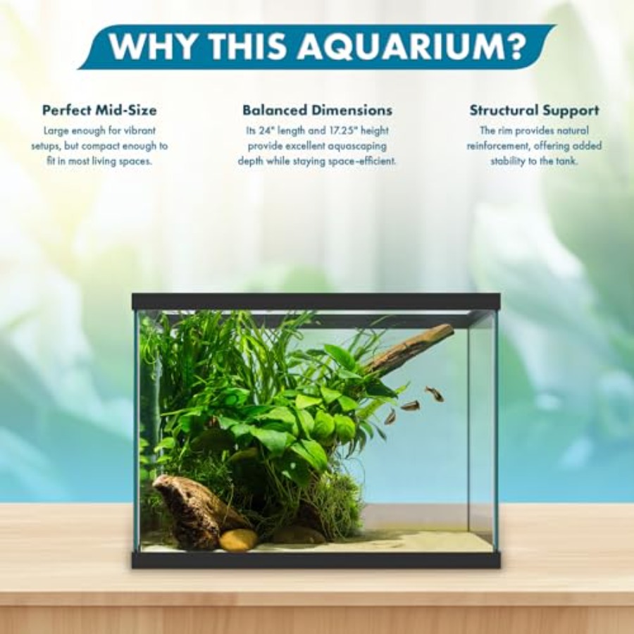 20 Gallon Glass Aquarium - 24  - огляд і ціна Fish Toy In Aquarium
