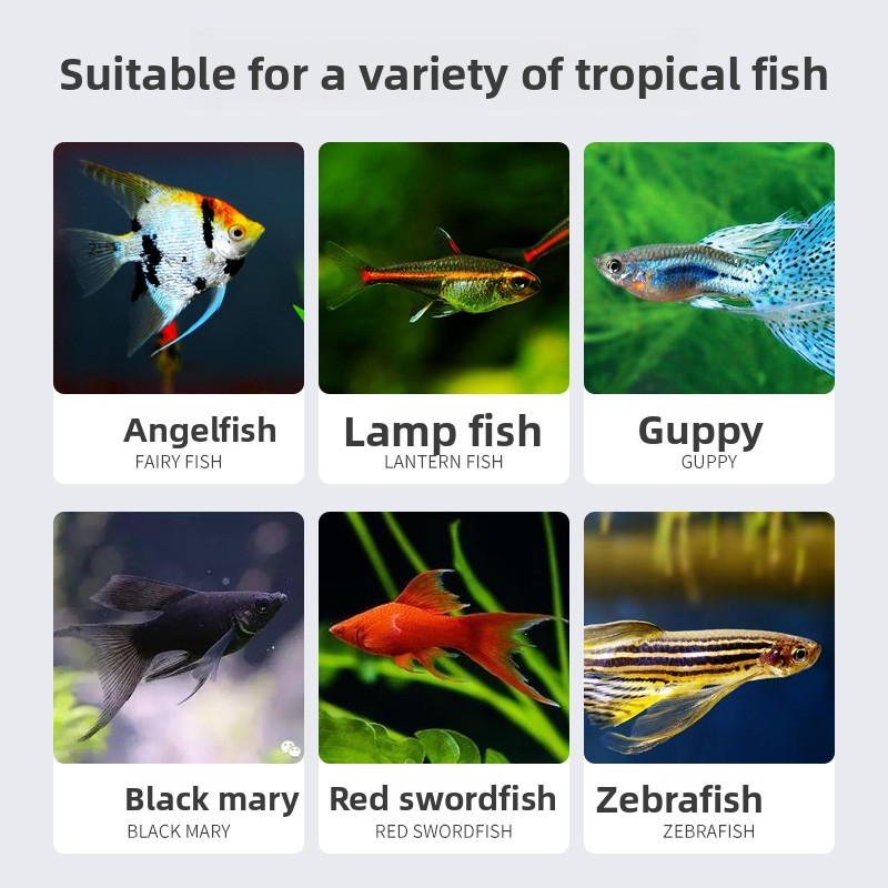 SUNSUN Premium Tropical Fish F - огляд і ціна Tetra Food Tropical Flakes