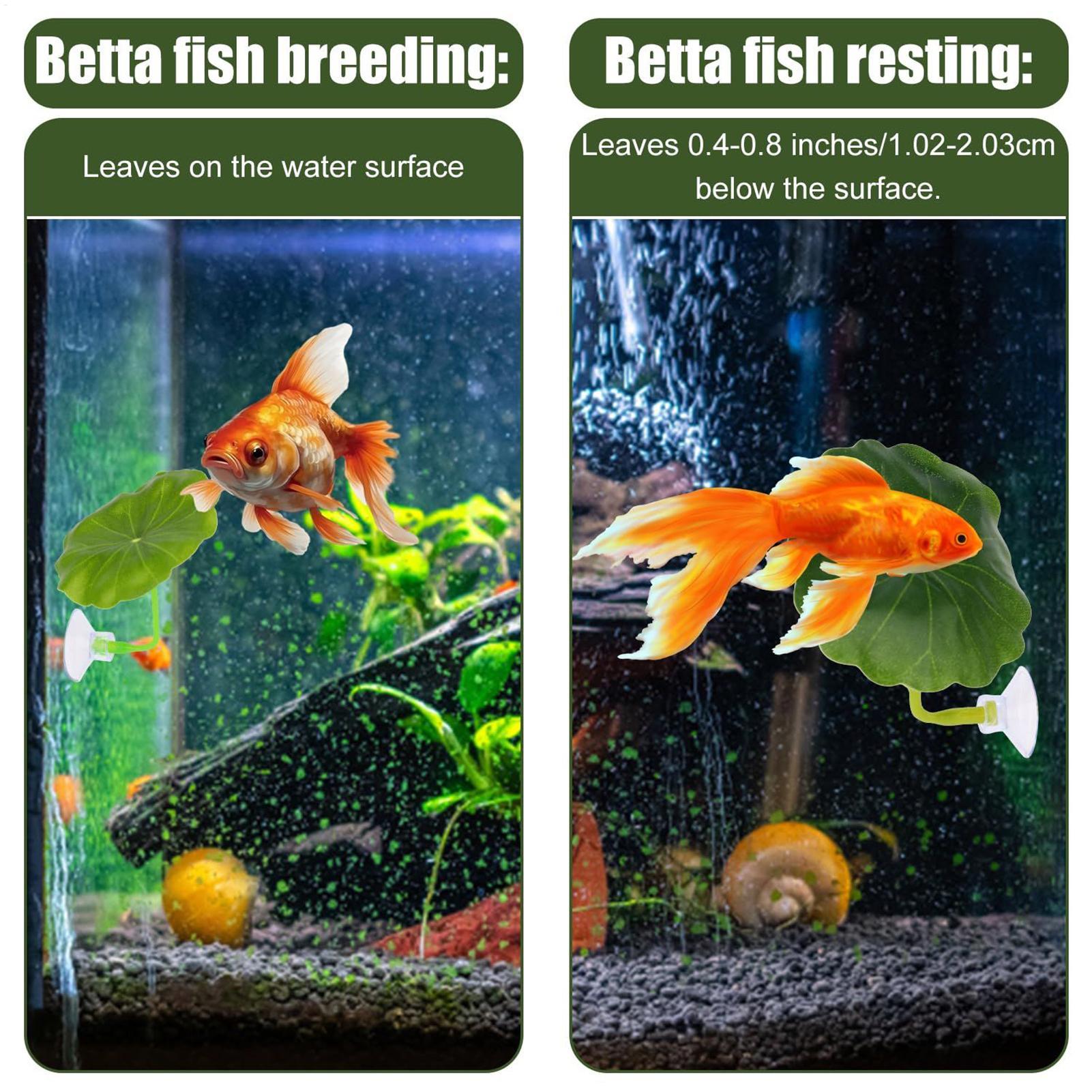 Betta Fish Hammock 5 Pieces Ad - огляд і ціна Fish Toy In Aquarium