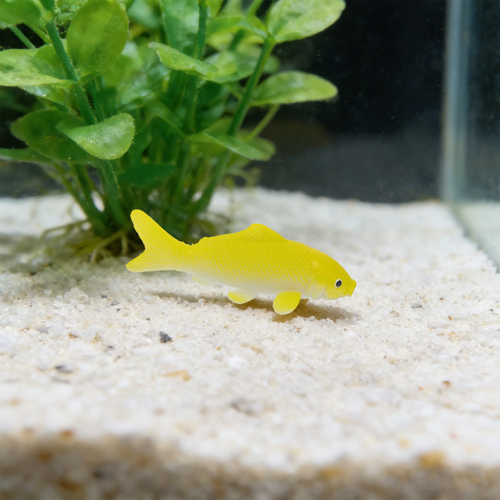 3pcs Fish Crafts Toys Realisti - огляд і ціна Fish Toy In Aquarium