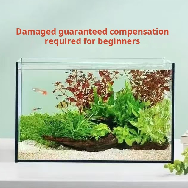 Ultra Clear Large Rectangle Gl - огляд і ціна Aquarium Fish Keeping