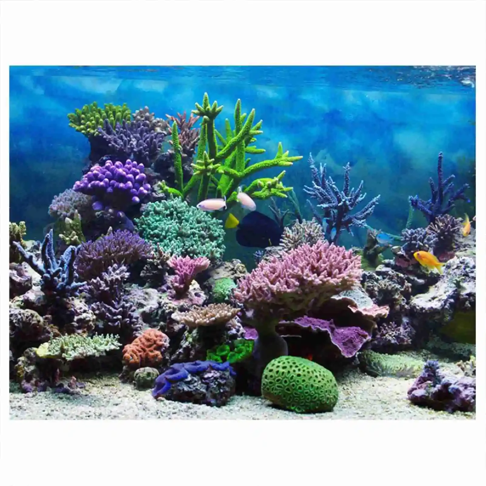 3D Aquarium Landscape Poster R - огляд і ціна Aquarium Fish Poster