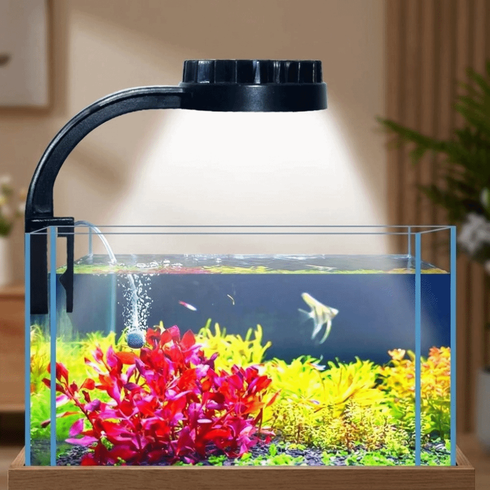 High Brightness Aquarium Clip  - огляд і ціна Aquarium Fish Keeping