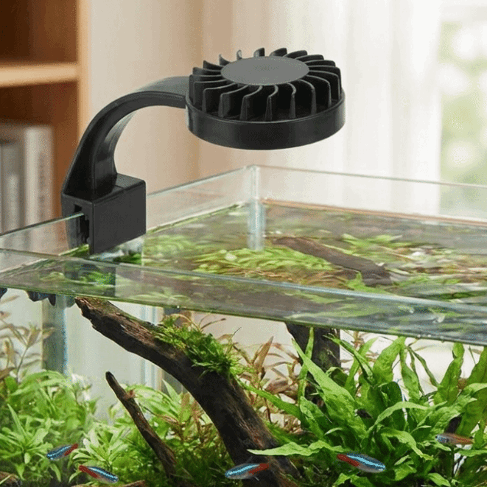 High Brightness Aquarium Clip  - огляд і ціна Aquarium Fish Keeping