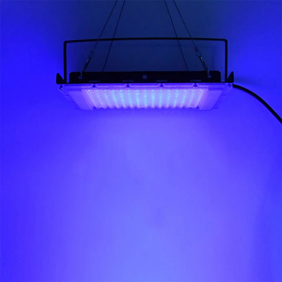 300W UV 395nm Black Light Ultr - огляд і ціна Aquarium Fish Poster
