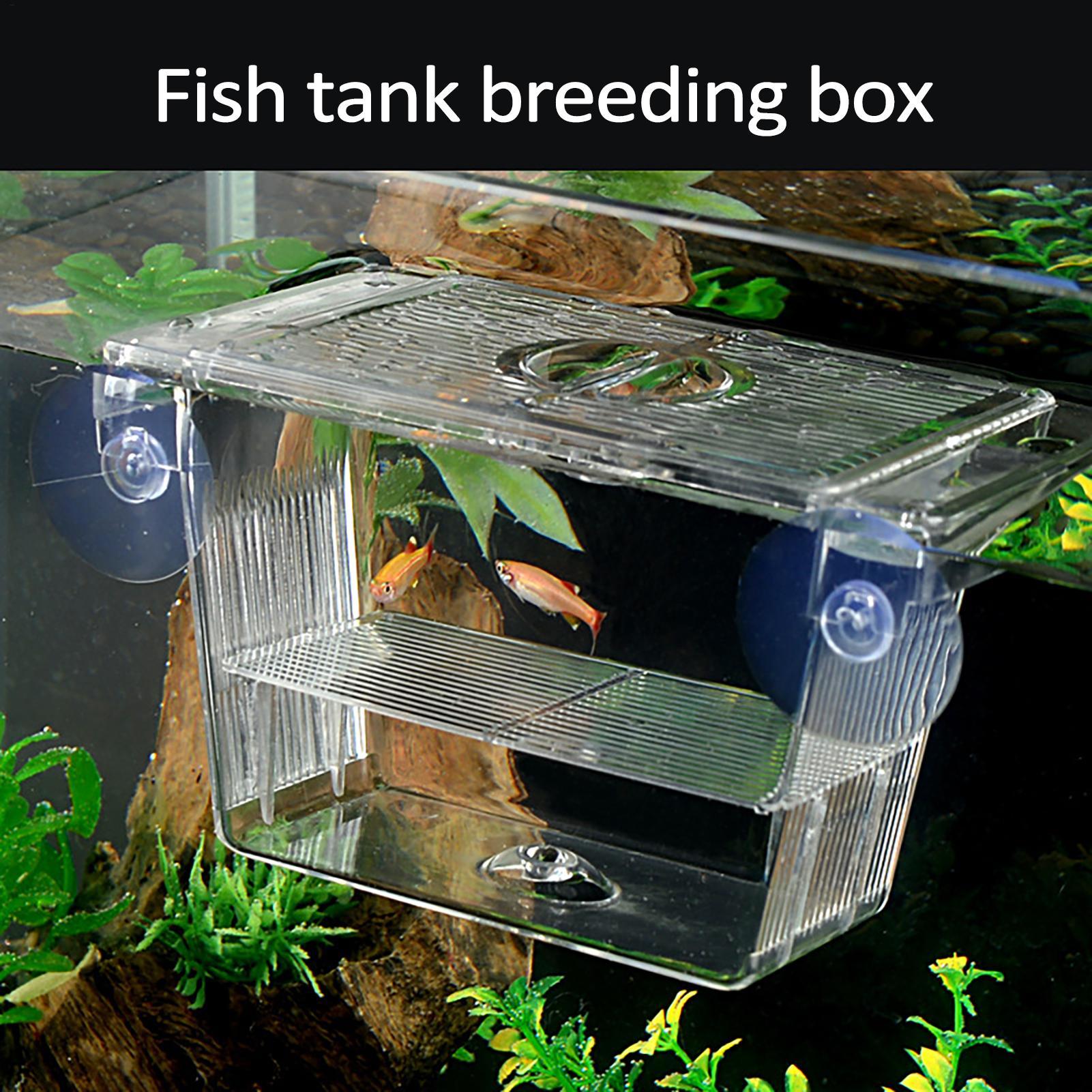 Breeder Box for Fish Tank Tran - огляд і ціна Fish Toy In Aquarium