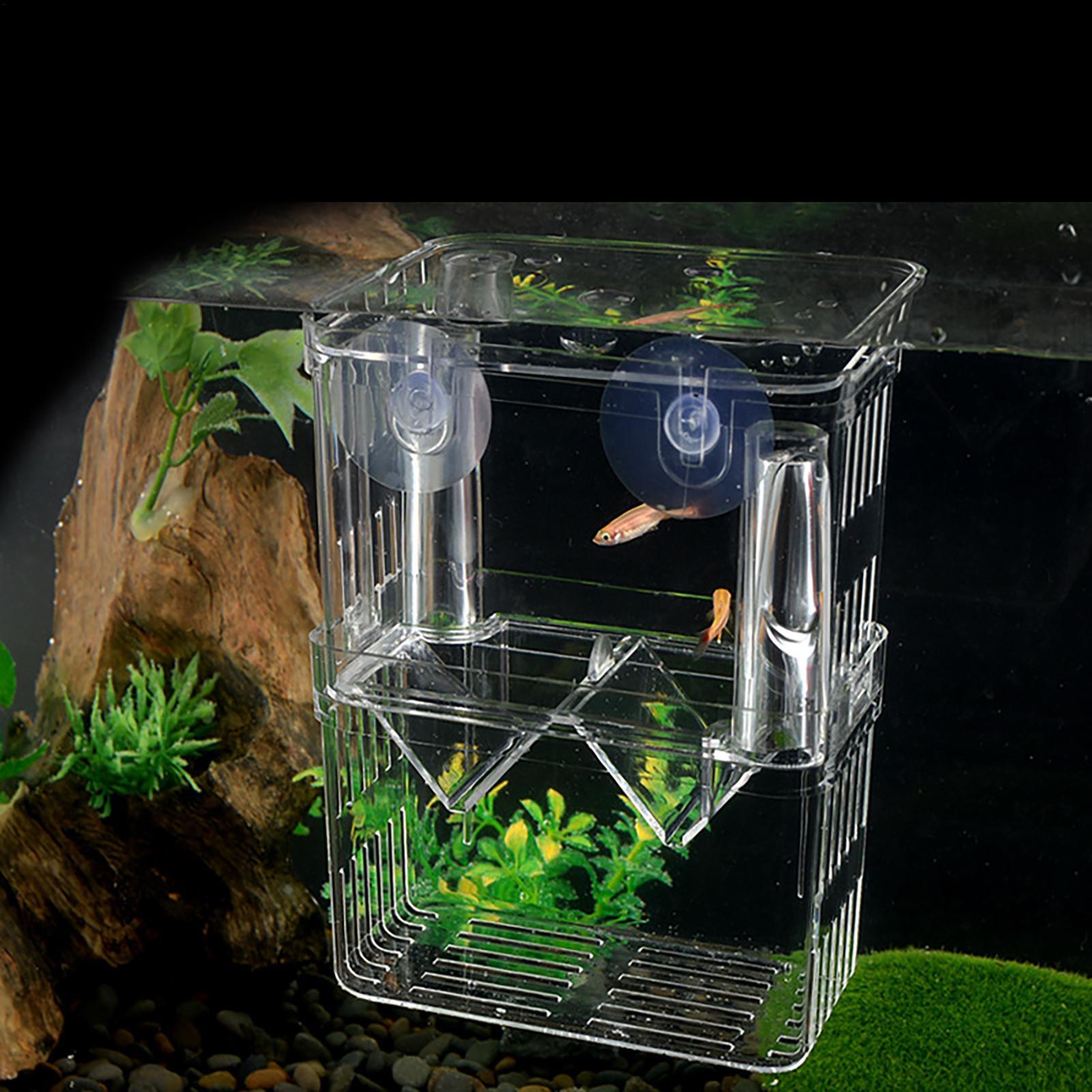 Breeder Box for Fish Tank Tran - огляд і ціна Fish Toy In Aquarium