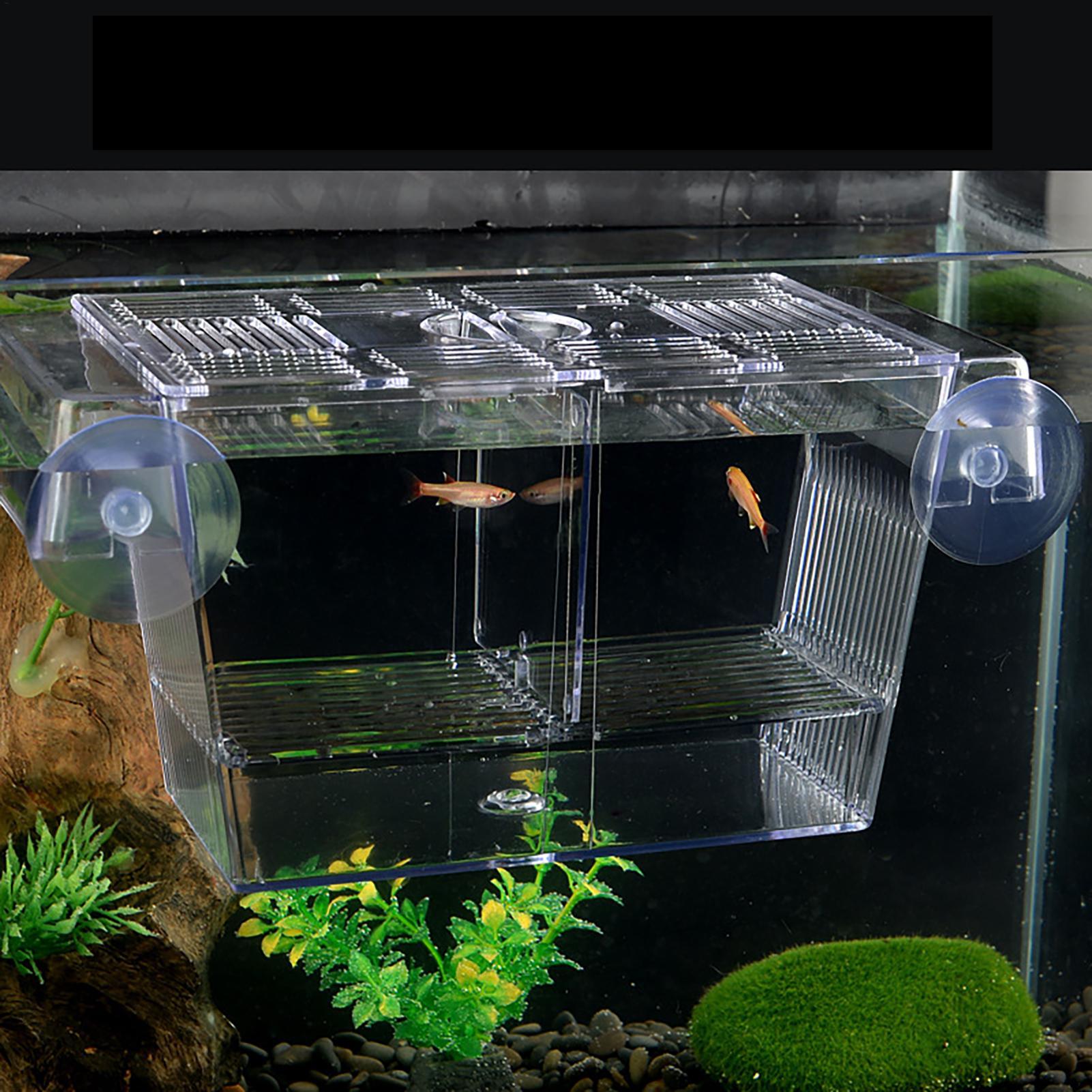 Breeder Box for Fish Tank Tran - огляд і ціна Fish Toy In Aquarium