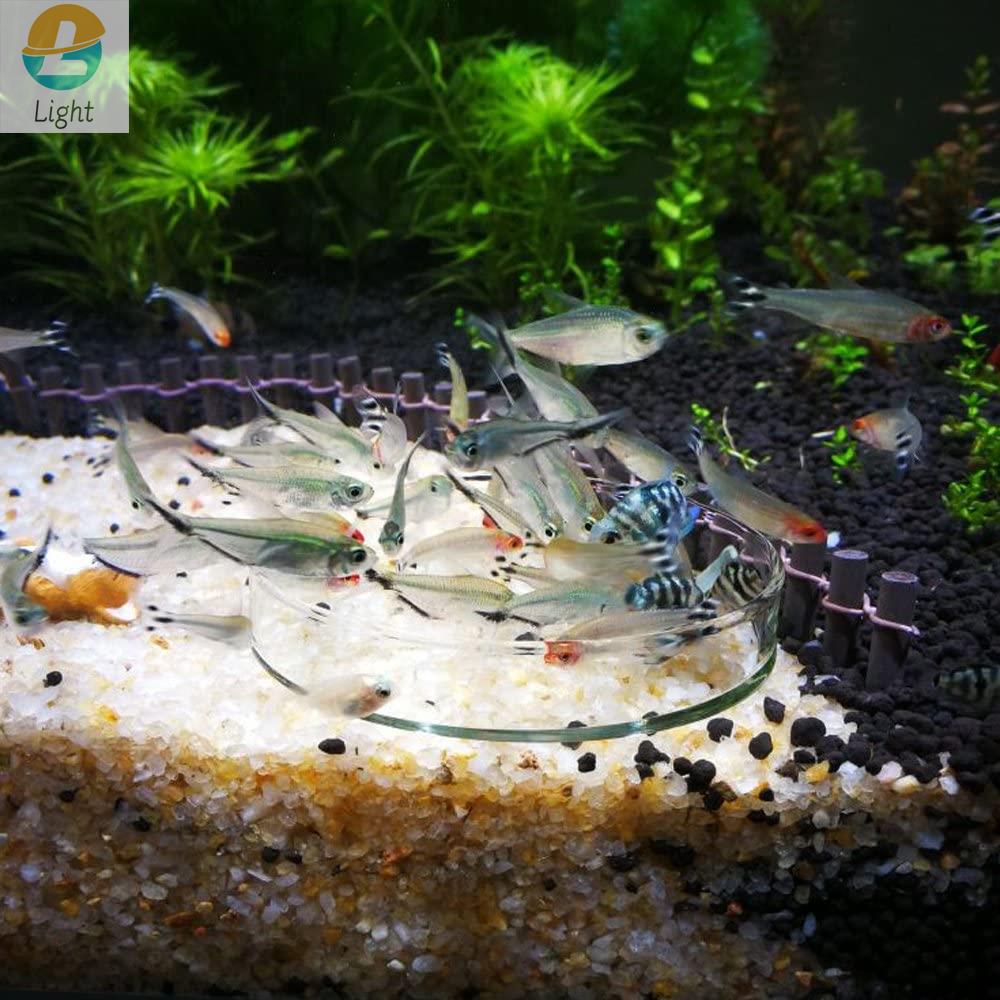 Aquarium Feeder Bowls Dish Cle - огляд і ціна Aquarium Fish Keeping